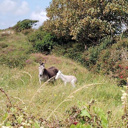 גלוואיי Ballyconneely House מראה חיצוני תמונה